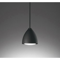 ペンダントライト/昼白色/レール取付専用 OP252956NR