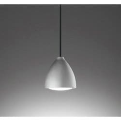 ペンダントライト/昼白色/要電気工事 OP252957NR