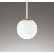 ペンダントライト/昼白色/レール取付専用 OP273016NCR
