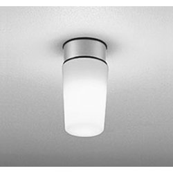 エクステリアライト/昼白色/要電気工事 OW009395NCR