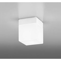 エクステリアライト/昼白色/要電気工事 OW009421NR