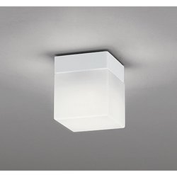 エクステリアライト/温白色/要電気工事 OW009421WR