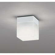 エクステリアライト/温白色/要電気工事 OW009421WR