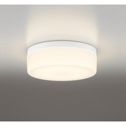 エクステリアライト/電球色/要電気工事 OW269017LR