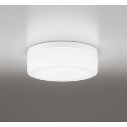 エクステリアライト/昼白色/要電気工事 OW269017NR