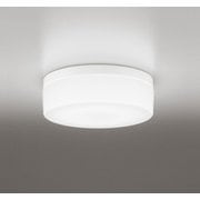 エクステリアライト/昼白色/要電気工事 OW269017NR