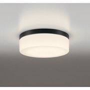 エクステリアライト/電球色/要電気工事 OW269018LR