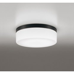 エクステリアライト/昼白色/要電気工事 OW269018NR
