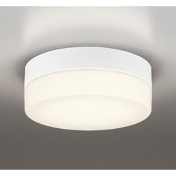 エクステリアライト/電球色/要電気工事 OW269034LR