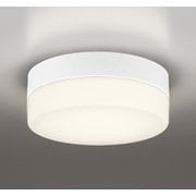 エクステリアライト/電球色/要電気工事 OW269034LR