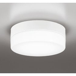 エクステリアライト/昼白色/要電気工事 OW269034NR