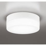 エクステリアライト/昼白色/要電気工事 OW269034NR