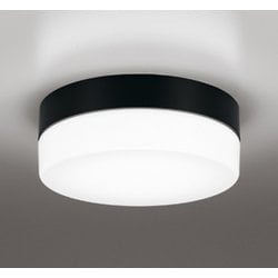 エクステリアライト/昼白色/要電気工事 OW269035NR