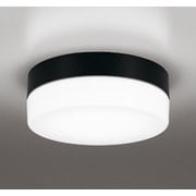 エクステリアライト/昼白色/要電気工事 OW269035NR