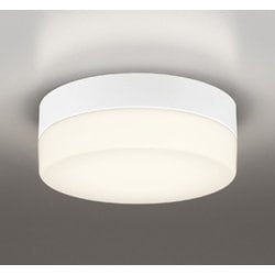 エクステリアライト/電球色/要電気工事 OW269037LR