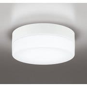 エクステリアライト/昼白色/要電気工事 OW269037NR