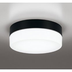 エクステリアライト/昼白色/要電気工事 OW269038NR