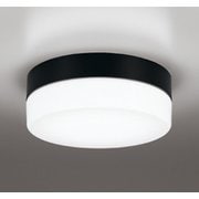 エクステリアライト/昼白色/要電気工事 OW269038NR