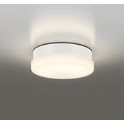 エクステリアライト/電球色/要電気工事 OW269039LR