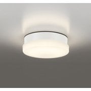 エクステリアライト/電球色/要電気工事 OW269041LR