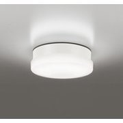 エクステリアライト/昼白色/要電気工事 OW269041NR