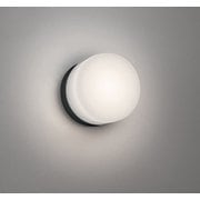 エクステリアライト/温白色/要電気工事 OW269048WR