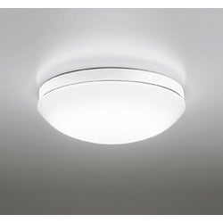 エクステリアライト/昼白色/要電気工事 OW269049NR