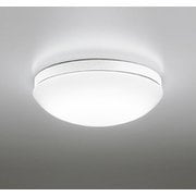 エクステリアライト/昼白色/要電気工事 OW269049NR