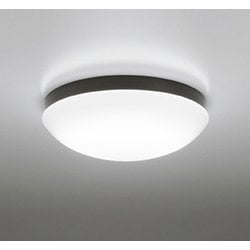 エクステリアライト/昼白色/要電気工事 OW269050NR