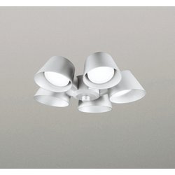 シーリングファン/昼白色/要電気工事 WF229NR