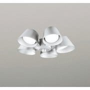 シーリングファン/昼白色/要電気工事 WF229NR