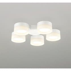 シーリングファン/電球色/要電気工事 WF298LR