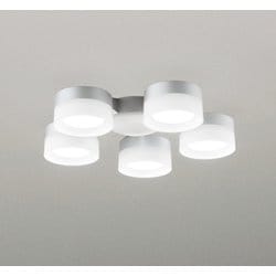 シーリングファン/昼白色/要電気工事 WF300NR