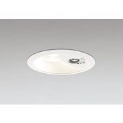 非常用照明器具・誘導灯器具/電球色/φ150/要電気工事 XR037018B