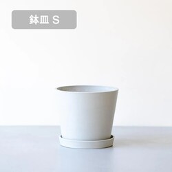鉢皿 S ECOPOTS Amsterdam ホワイトグレー SAM.20.WG