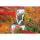 1000-114 日本風景 秋に染まる袋田の滝（茨城） [ジグソーパズル 1000ピース]