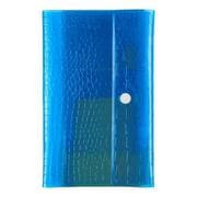 weeksカバー beautiful people/nothing to hide(blue)