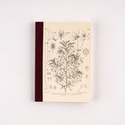 牧野富太郎/ほぼ日の方眼ノート(A6)ヤマザクラ