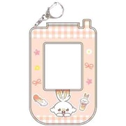 S2221616 [カードホルダー ポケピース ヒバニー]