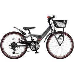 BRIDGESTONE BWX ブリヂストン　子供用マウンテンバイク　24インチ BRIDGESTONE 子供用自転車 24インチ ブリヂストン BWX STREET 24