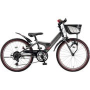 子ども用自転車 エクスプレスジュニア 20インチ 外装6段変速 M.Xガンメタグレー EXJ05 1A547D0