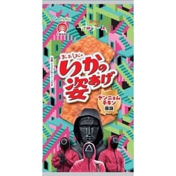 いかの姿あげ イカゲーム ヤンニョムチキン風味 4枚入
