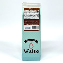辛口ジンジャーエールベース 1000ml [希釈飲料]