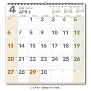 2026年1月始まり NOLTY(ノルティ) カレンダー壁掛(B2変型) 2026-C154
