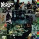 DISRUPT / UNREST (COLORED) [輸入盤 CD]