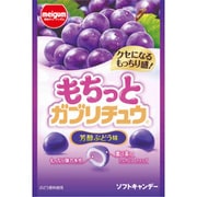 もちっとガブリチュウ 芳醇ぶどう味 35g