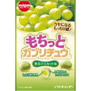 もちっとガブリチュウ 香るマスカット味 35g