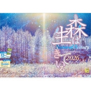 A-20 『森は生きている』 2026年 [カレンダー 壁掛け 風景 300×420mm 透明ホルダー付]