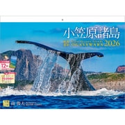 C-03 『小笠原諸島』 2026年 [カレンダー 壁掛け 風景 300×400mm 紙ホルダータイプ]