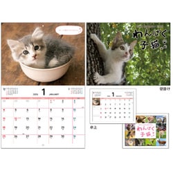 KO635779 [2026年 わんぱく子猫 ウオール＆デスクカレンダー]